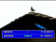 Intelsat 805 at 55.5 w _ Hemi footprint_4 120 H Edupol _IF data